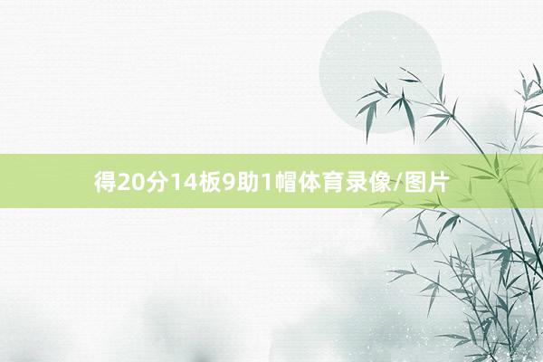 得20分14板9助1帽体育录像/图片
