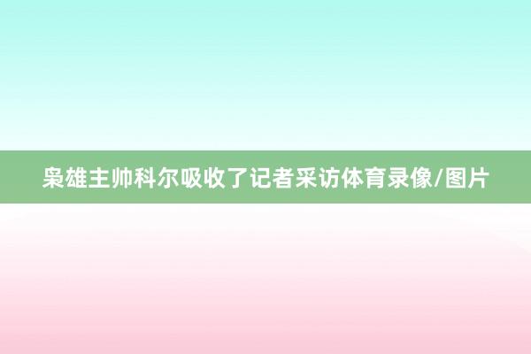 枭雄主帅科尔吸收了记者采访体育录像/图片