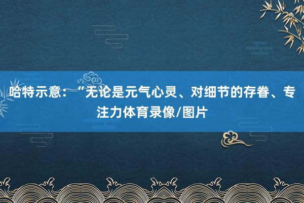 哈特示意：“无论是元气心灵、对细节的存眷、专注力体育录像/图片