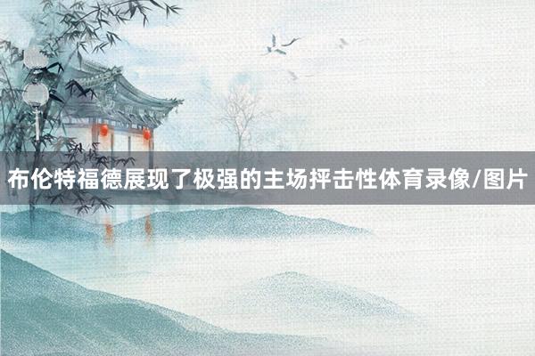 布伦特福德展现了极强的主场抨击性体育录像/图片