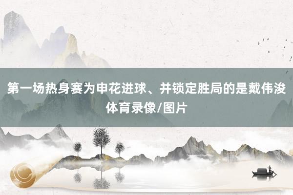 第一场热身赛为申花进球、并锁定胜局的是戴伟浚体育录像/图片