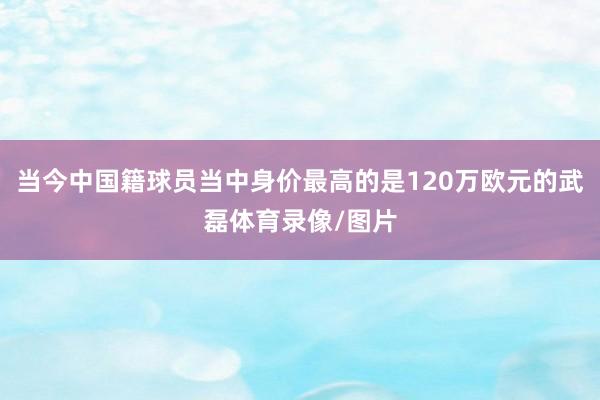 当今中国籍球员当中身价最高的是120万欧元的武磊体育录像/图片