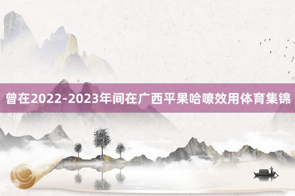 曾在2022-2023年间在广西平果哈嘹效用体育集锦