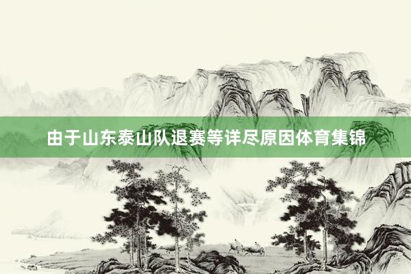 由于山东泰山队退赛等详尽原因体育集锦