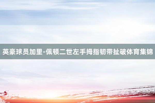 英豪球员加里-佩顿二世左手拇指韧带扯破体育集锦