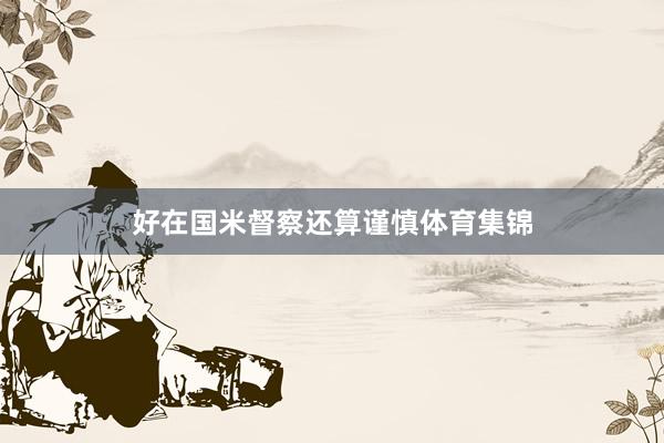好在国米督察还算谨慎体育集锦