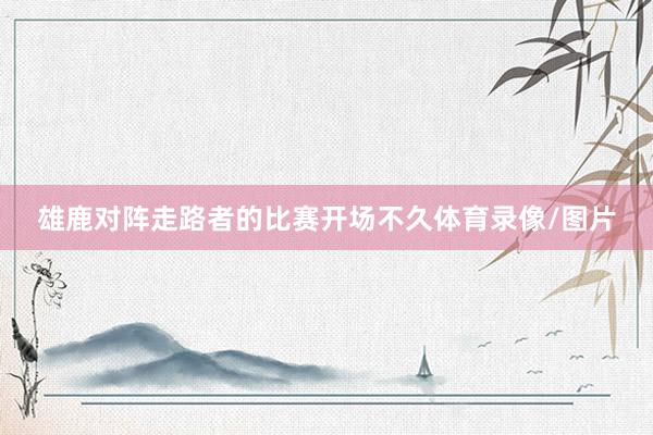 雄鹿对阵走路者的比赛开场不久体育录像/图片