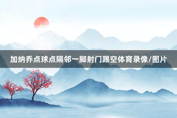 加纳乔点球点隔邻一脚射门踢空体育录像/图片