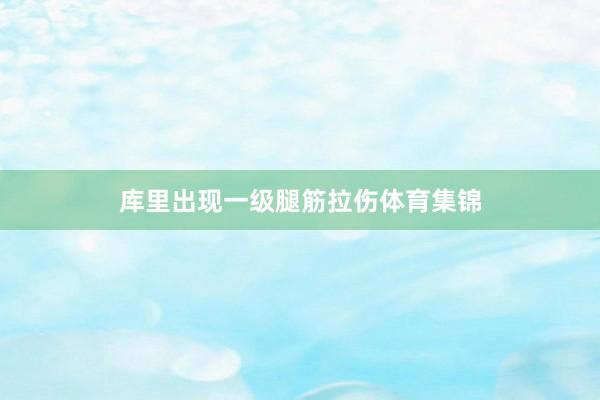 库里出现一级腿筋拉伤体育集锦