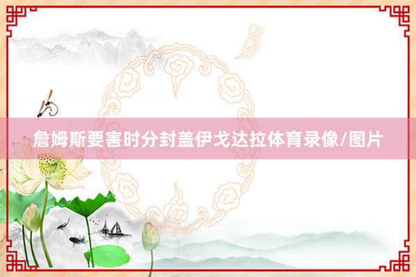 詹姆斯要害时分封盖伊戈达拉体育录像/图片