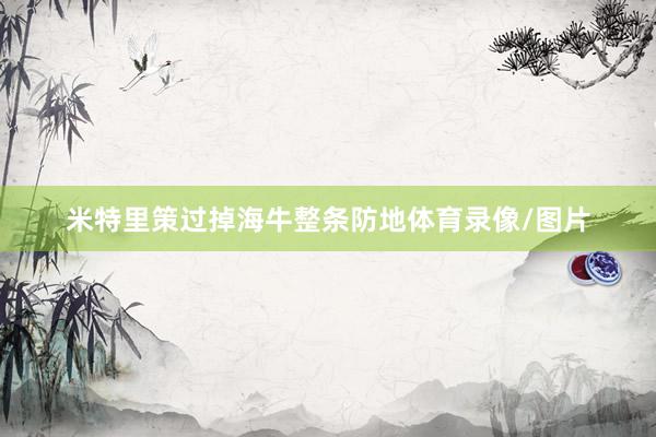 米特里策过掉海牛整条防地体育录像/图片