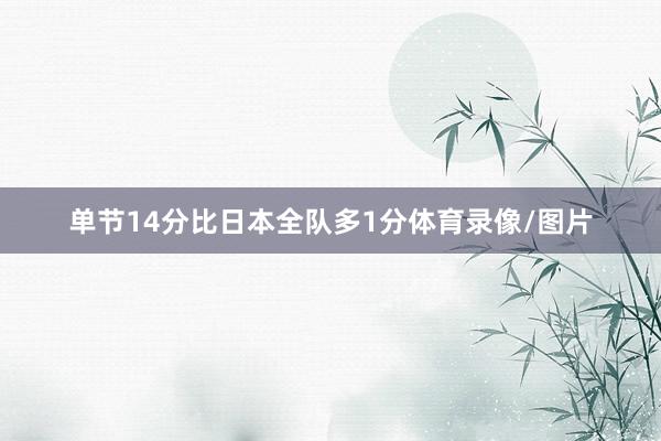单节14分比日本全队多1分体育录像/图片