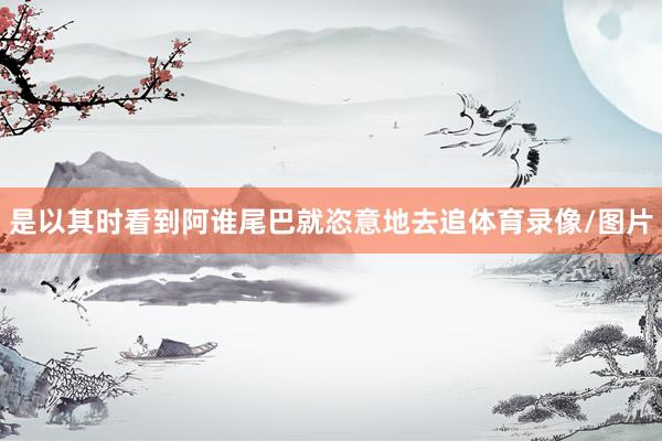 是以其时看到阿谁尾巴就恣意地去追体育录像/图片