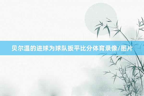 贝尔温的进球为球队扳平比分体育录像/图片