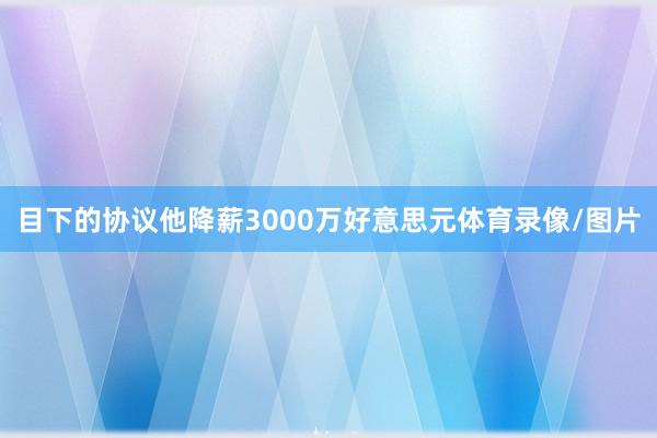 目下的协议他降薪3000万好意思元体育录像/图片