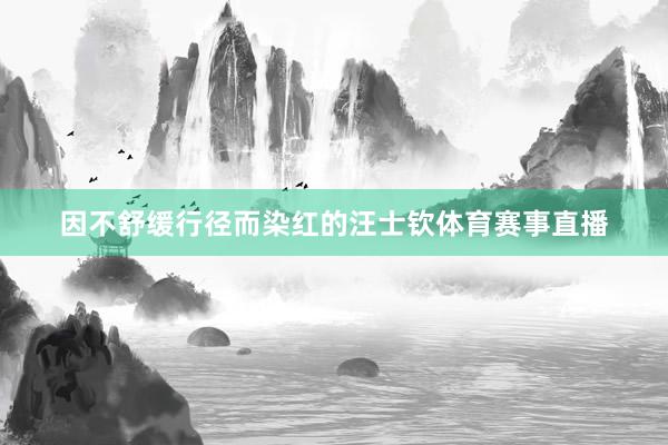 因不舒缓行径而染红的汪士钦体育赛事直播