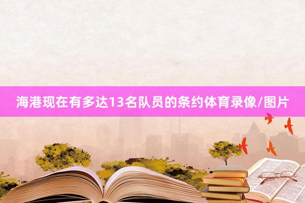 海港现在有多达13名队员的条约体育录像/图片