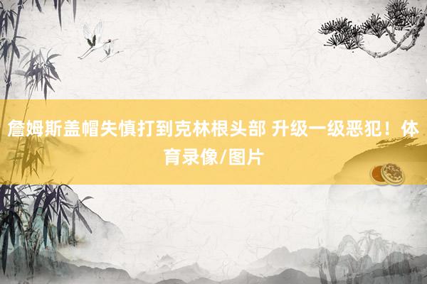 詹姆斯盖帽失慎打到克林根头部 升级一级恶犯！体育录像/图片
