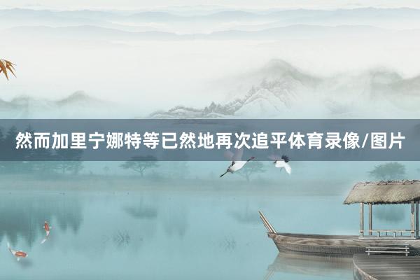 然而加里宁娜特等已然地再次追平体育录像/图片
