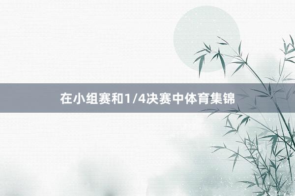 在小组赛和1/4决赛中体育集锦