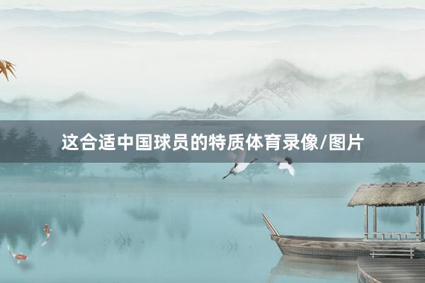 这合适中国球员的特质体育录像/图片