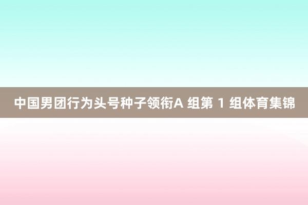 中国男团行为头号种子领衔A 组第 1 组体育集锦