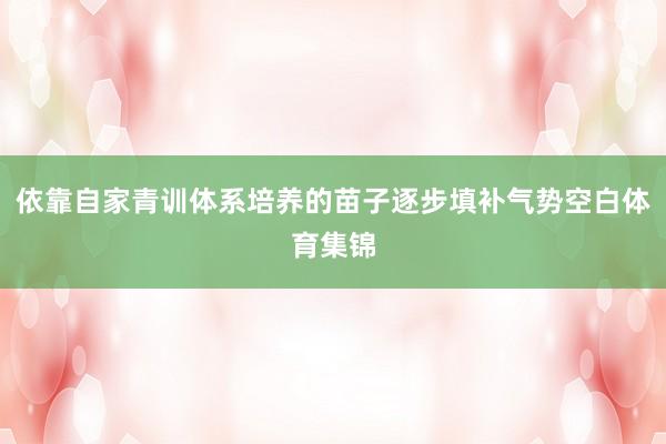 依靠自家青训体系培养的苗子逐步填补气势空白体育集锦