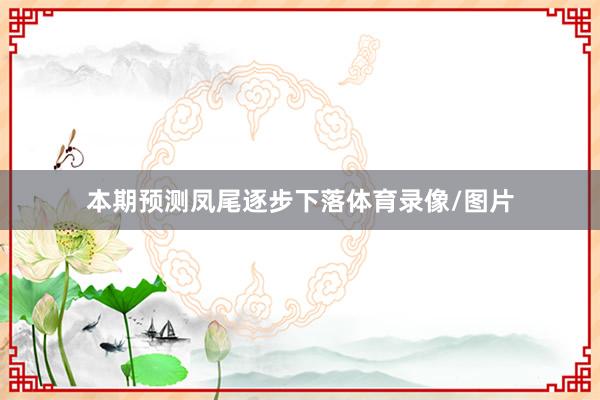 本期预测凤尾逐步下落体育录像/图片