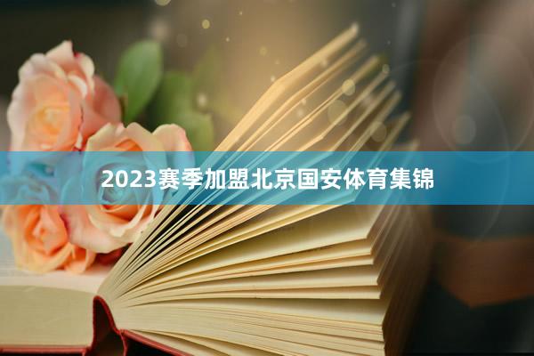 2023赛季加盟北京国安体育集锦