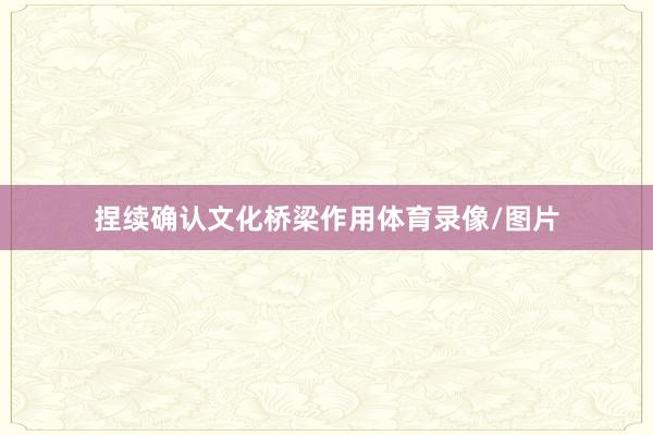 捏续确认文化桥梁作用体育录像/图片