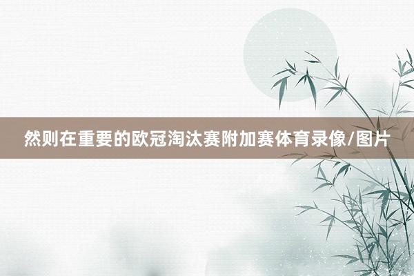 然则在重要的欧冠淘汰赛附加赛体育录像/图片