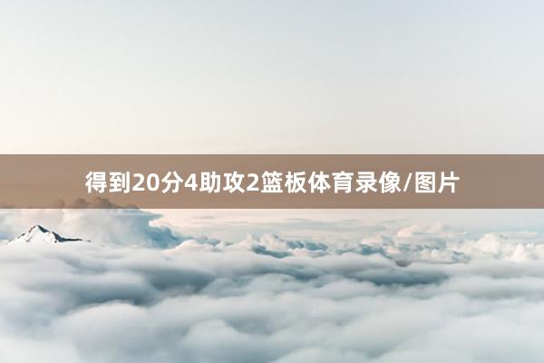 得到20分4助攻2篮板体育录像/图片