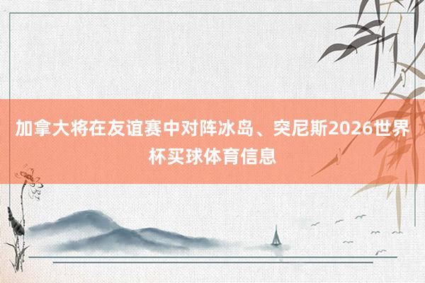 加拿大将在友谊赛中对阵冰岛、突尼斯2026世界杯买球体育信息