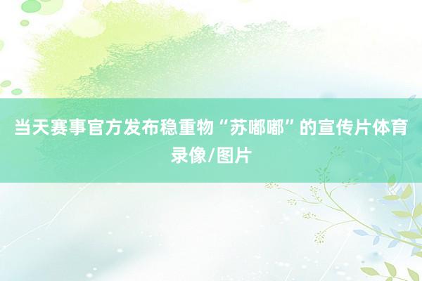 当天赛事官方发布稳重物“苏嘟嘟”的宣传片体育录像/图片