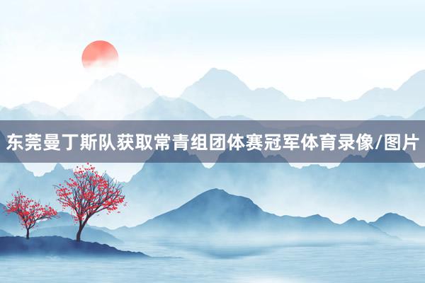 东莞曼丁斯队获取常青组团体赛冠军体育录像/图片