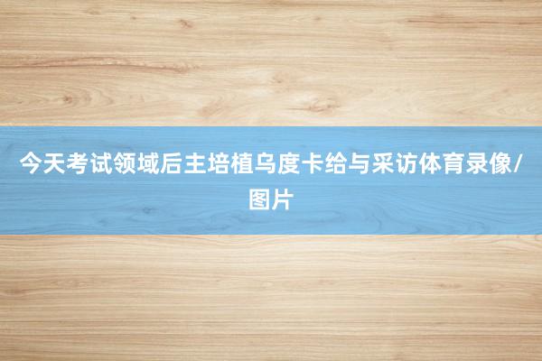 今天考试领域后主培植乌度卡给与采访体育录像/图片