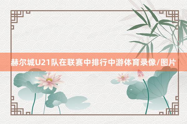 赫尔城U21队在联赛中排行中游体育录像/图片
