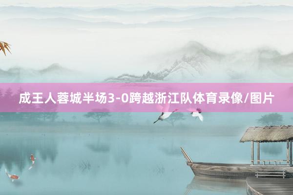 成王人蓉城半场3-0跨越浙江队体育录像/图片