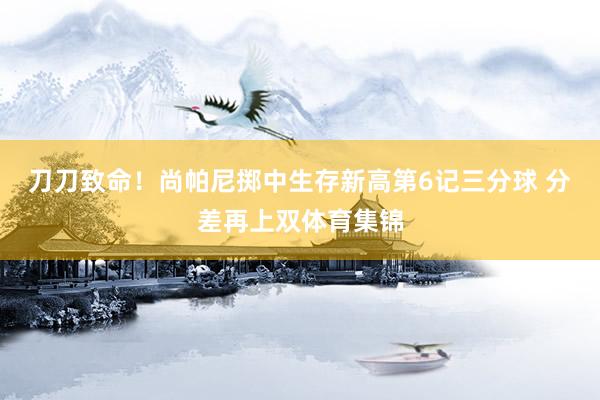 刀刀致命！尚帕尼掷中生存新高第6记三分球 分差再上双体育集锦