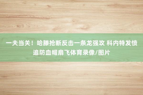 一夫当关！哈滕抢断反击一条龙强攻 科内特发愤追防血帽扇飞体育录像/图片