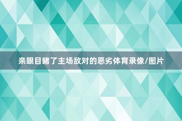 亲眼目睹了主场敌对的恶劣体育录像/图片